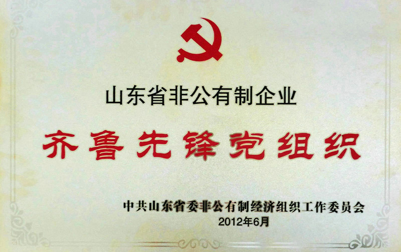 Qilu Pioneer Party Organization as a Non-Public Enterprise in Shandong